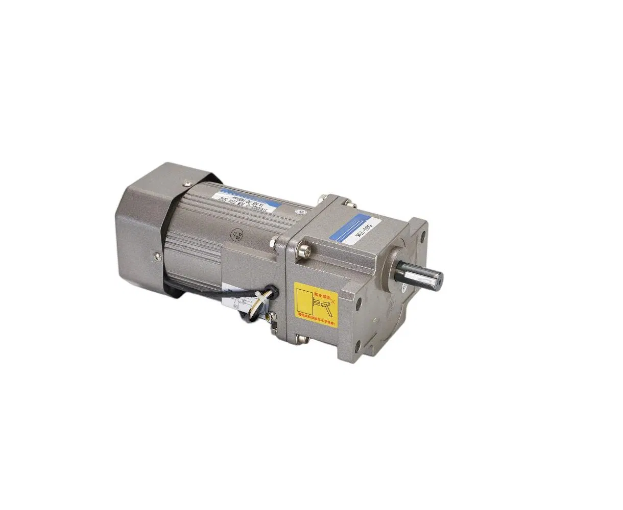 AC Reversible Electric Micro Gear Speed Reduction Motor for Automation Industry Machinery
