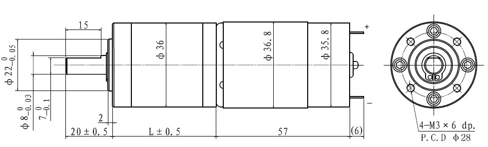 FT-36PGM555 Drawing