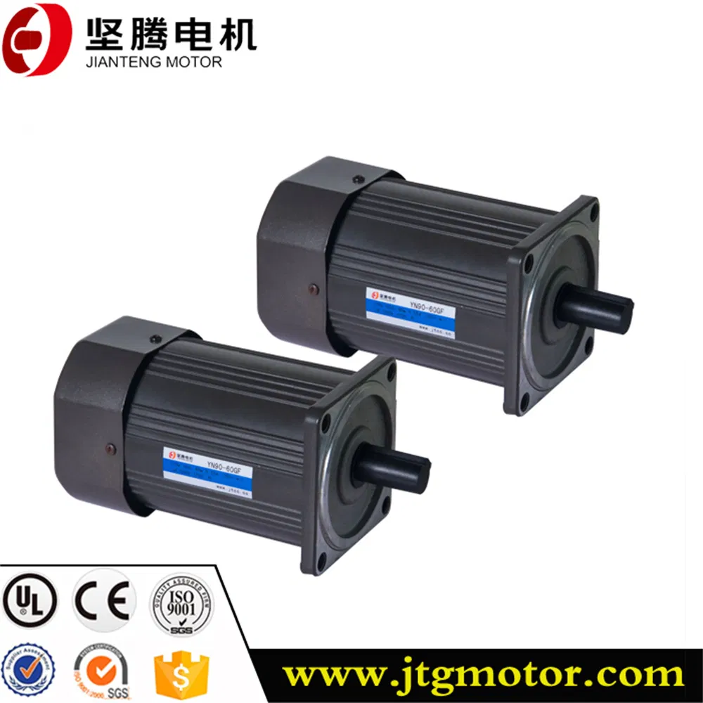 Micro AC Reversible Electric Brake Geared Reduction Synchronous Mini Motor for Roller Belt Conveyor Packaging Machine Boiler Feedwater Pump