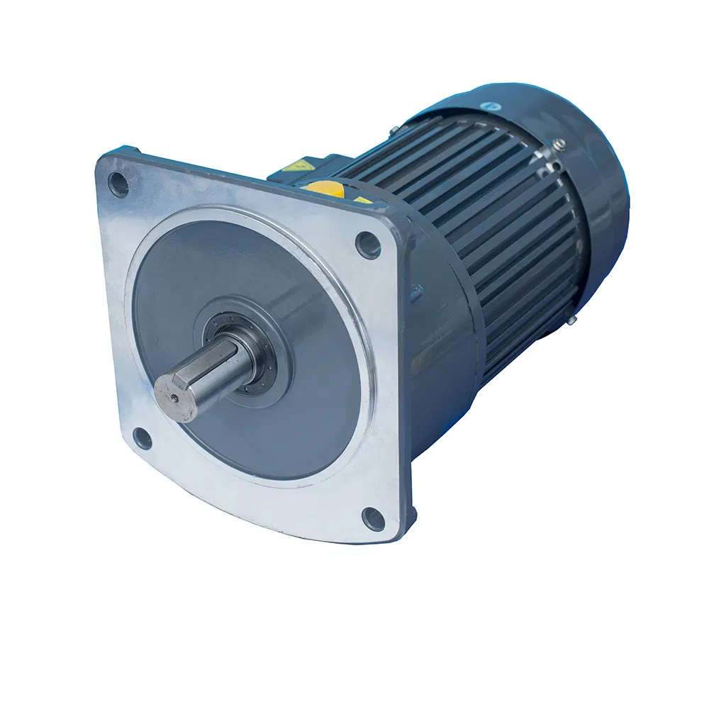 Reliable Asynchronous Industrial Mini Gear Electric Motor Reducer