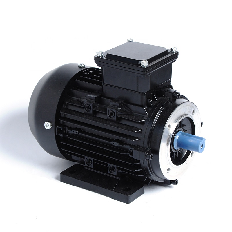 IE1 Series 380V 0.5hp Small Three Phase Ac Electric Asynchronous Induction Motors 370W 2pole
