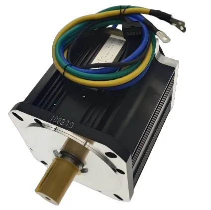 Servo Motor Detail 1