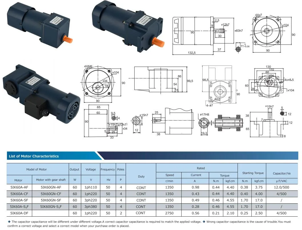 Motor Details 1