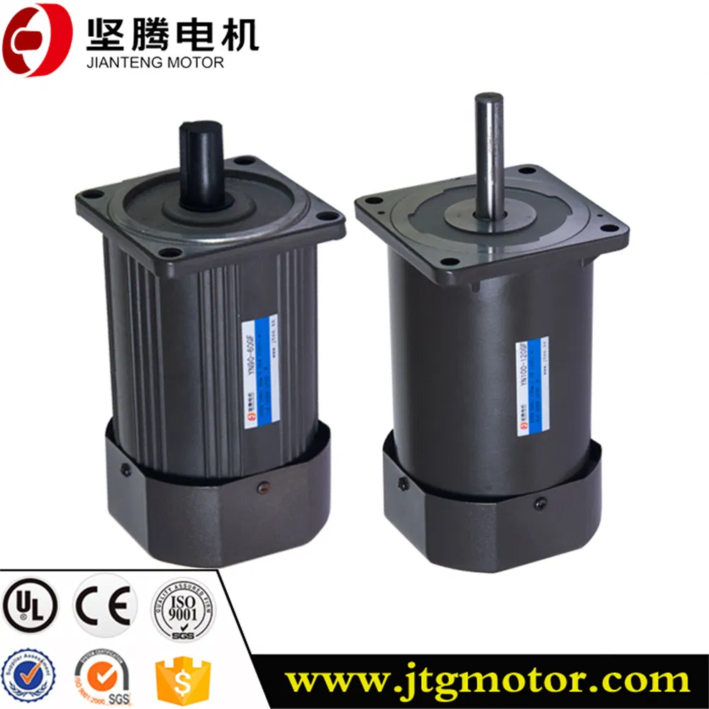 Micro AC Reversible Electric Brake Geared Reduction Synchronous Mini Motor for Roller Belt Conveyor Packaging Machine Boiler Feedwater Pump