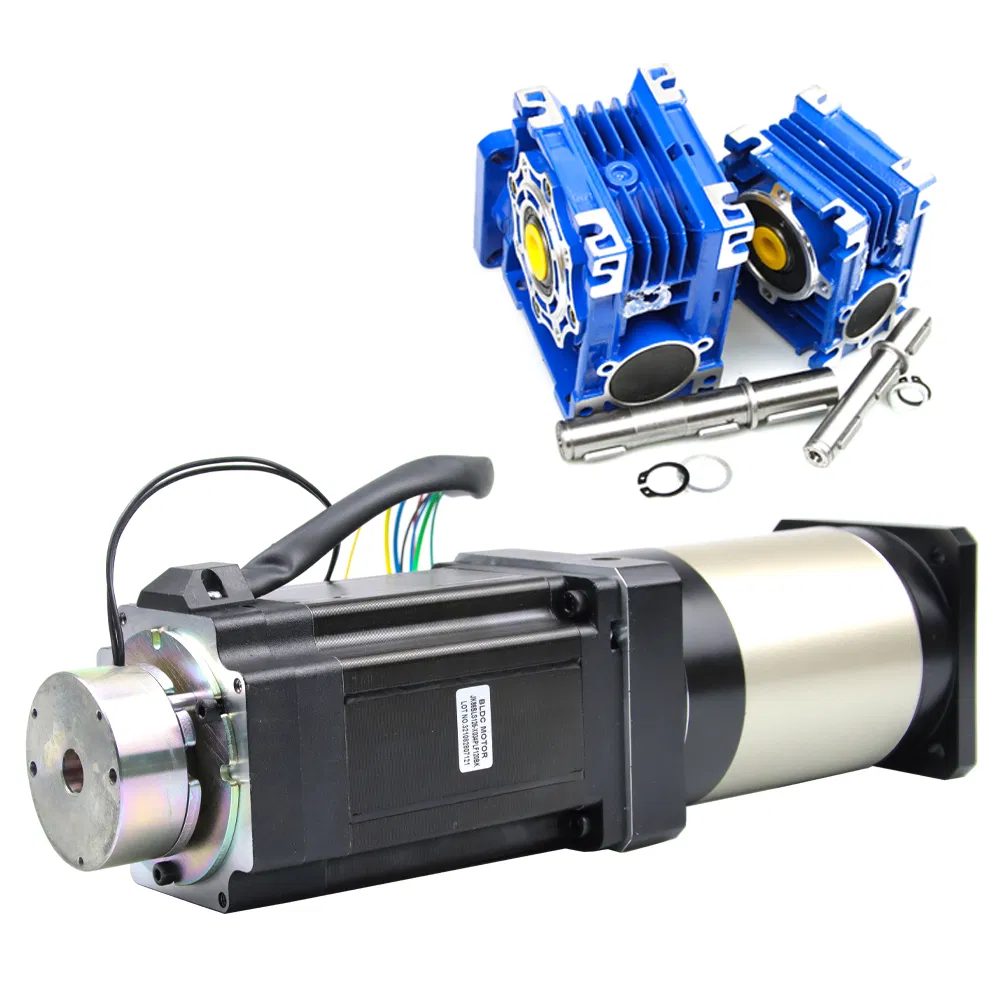 Motor with Brake