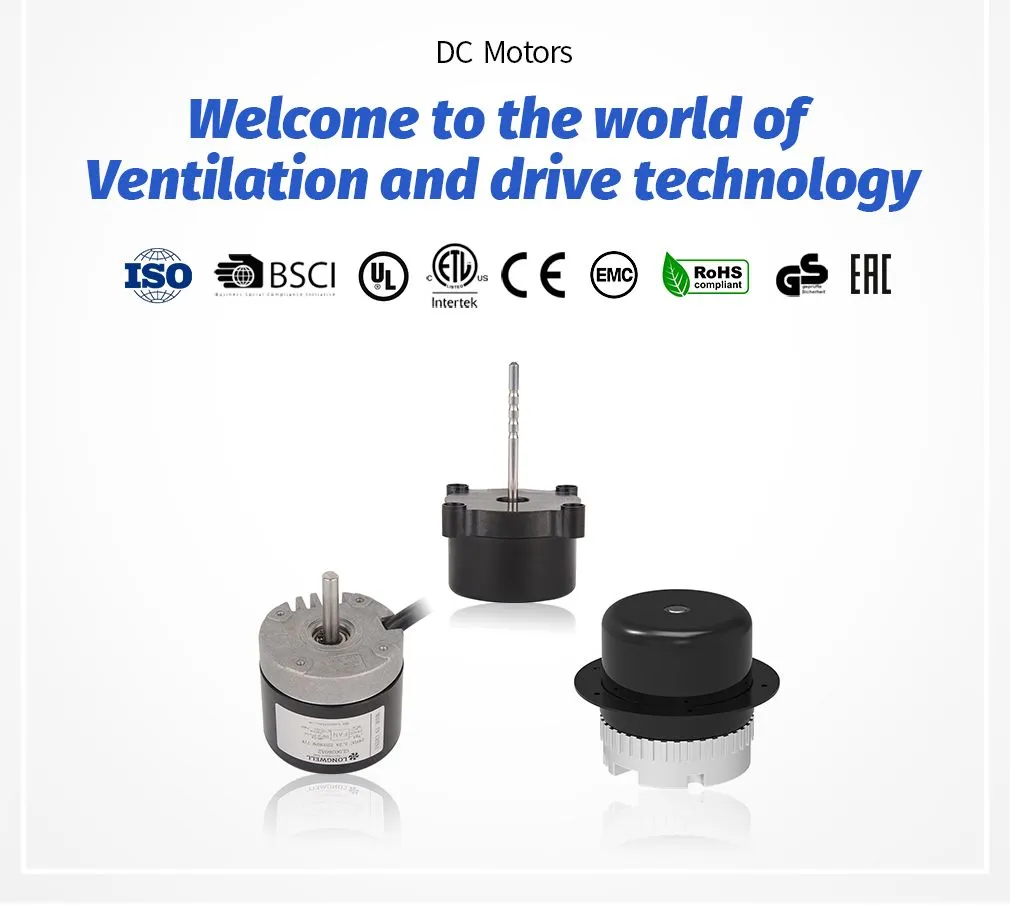 BLDC Motor