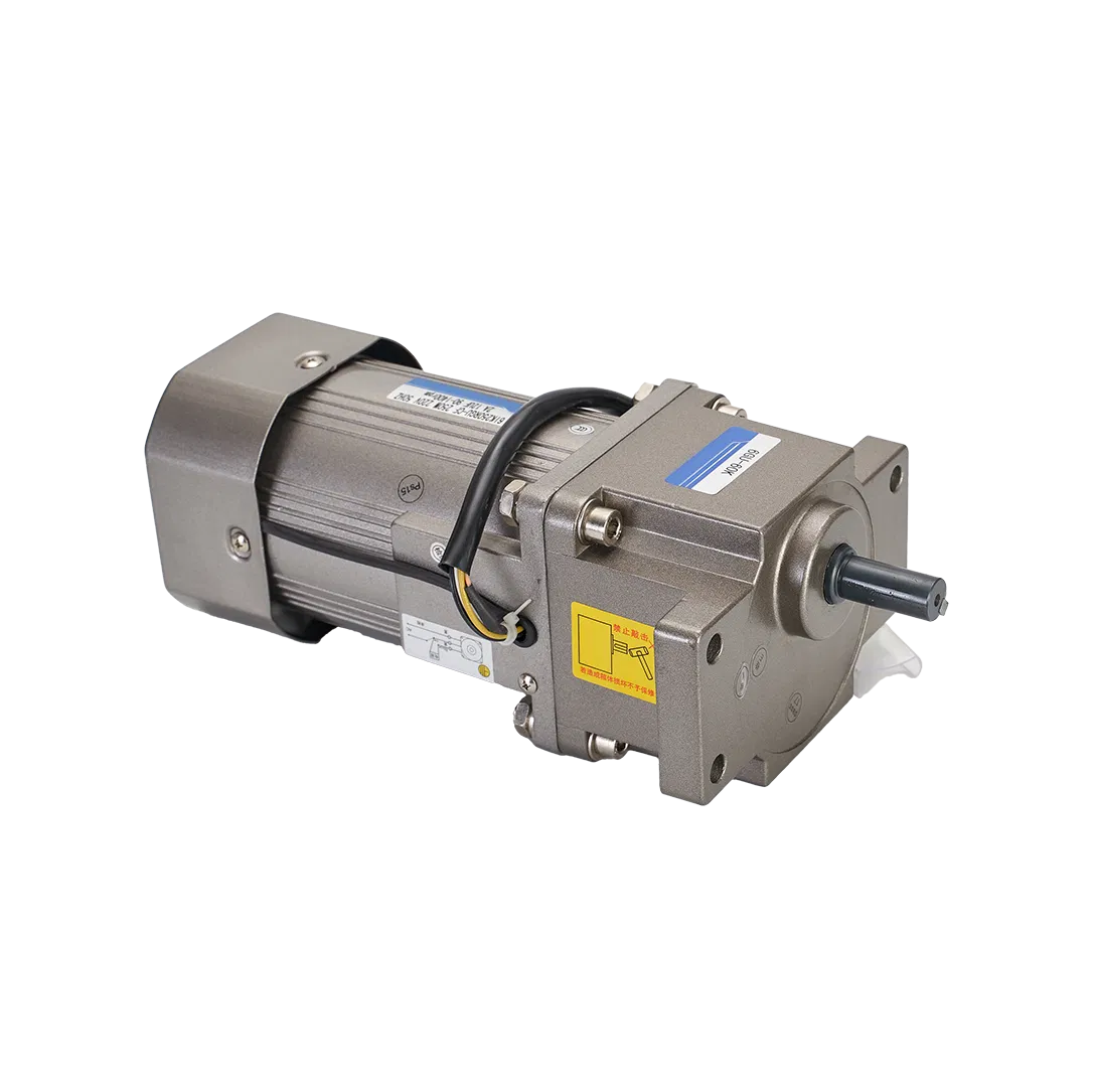 6W~2.2kw 60mm~142mm Precision Micro AC Motor with 110V/220V/380V Voltage and Gearbox Integration