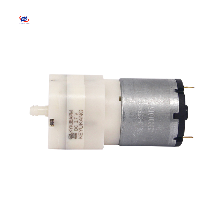 Manufacturer Direct Selling Small Electric 5L/min 12v DC Brushed Motor Micro Mini Diaphragm Motor