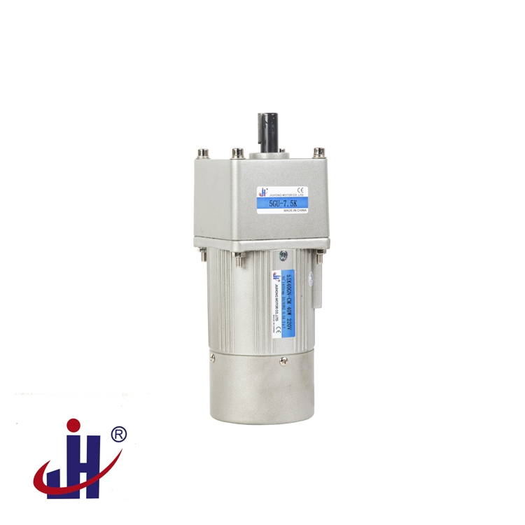 Micro AC Gear Motor with Precision Brake System for Optimal Control