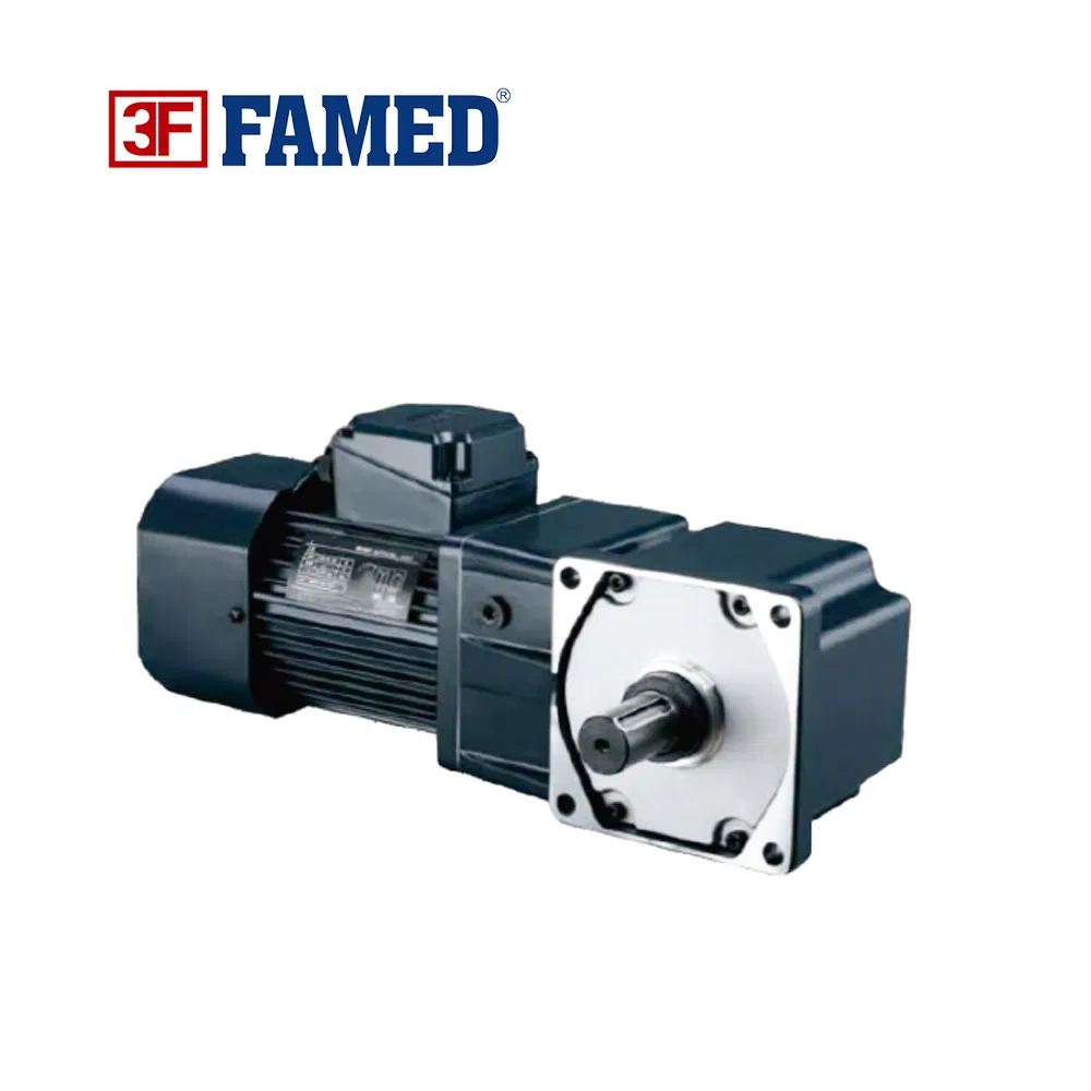Micro Induction AC Reduction Motor for Machine Automation