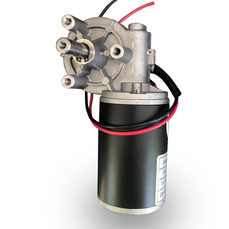 Custom Low Rpm High Torque Bronze Metal Worm Geared Motors Mini Electric DC Motor 12V 24V