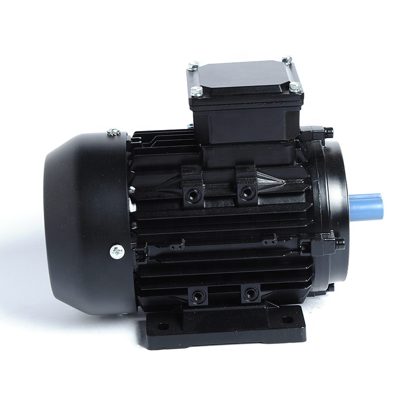 IE1 Series 380V 0.5hp Small Three Phase Ac Electric Asynchronous Induction Motors 370W 2pole