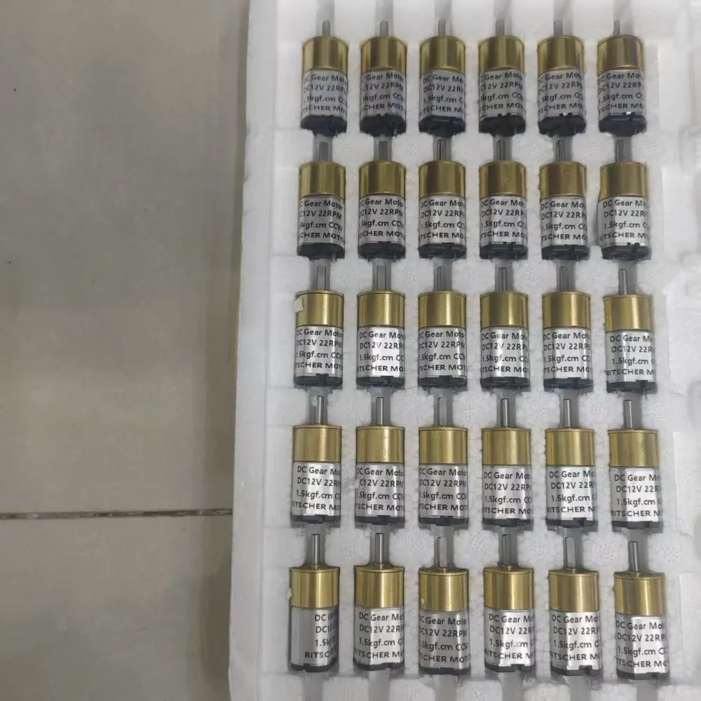 Custom DC Motor
