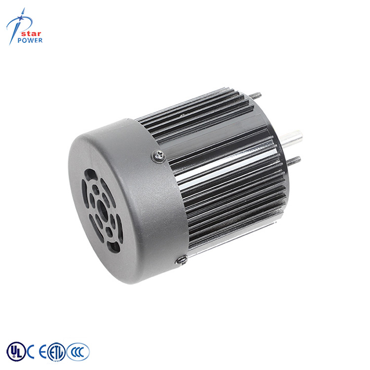 Electric Fan Motor View 3
