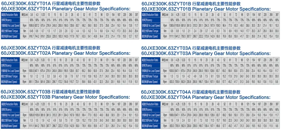 Typical Brushed DC Gear Motor Dimensions
