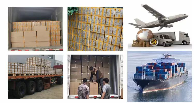 Shipping Logistics