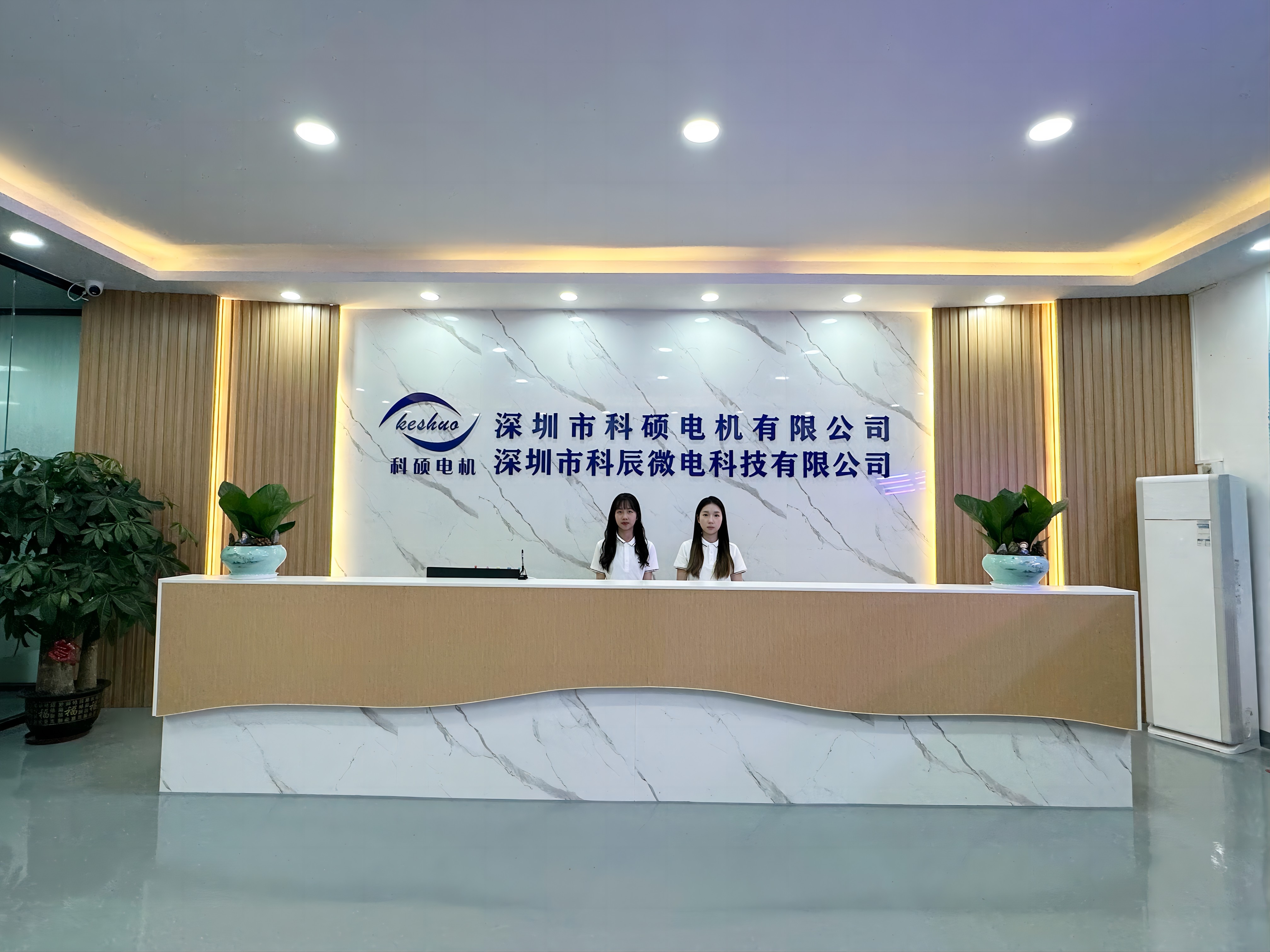 Company Overview