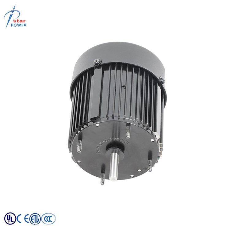 Electric Fan Motor View 2