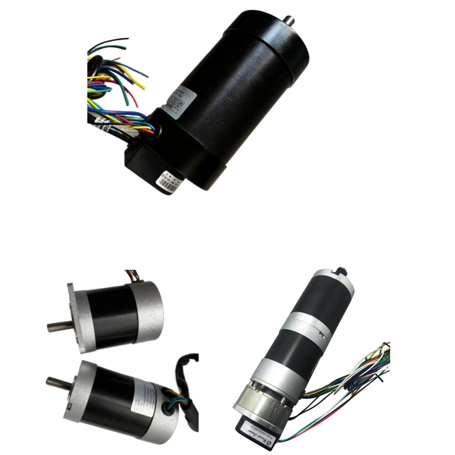 High Quality Good Price /Size 28mm-130mm/ Power 10W-2000W/ CE RoHS Customizable BLDC Brushless DC Motors Option with Gearbox Controller Brake Encoder