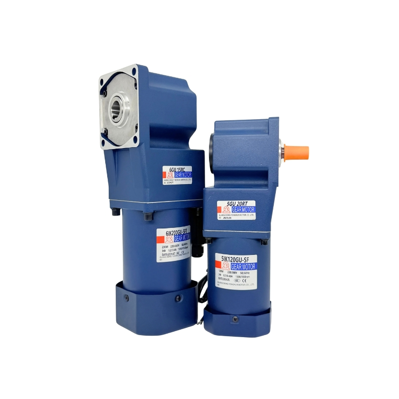 Micro AC Torque Micro Gear Box Used for Frequent Forward and Low Noise Electric Gear Reducer Motor 3 Phase 220V--380V