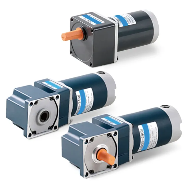 Precision Gear Motor 5