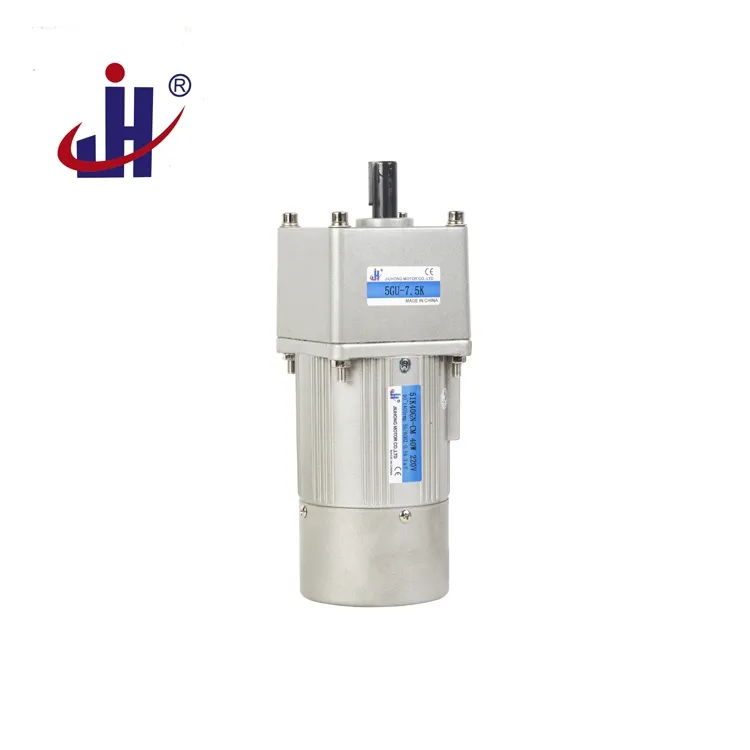 Micro AC Gear Motor Details