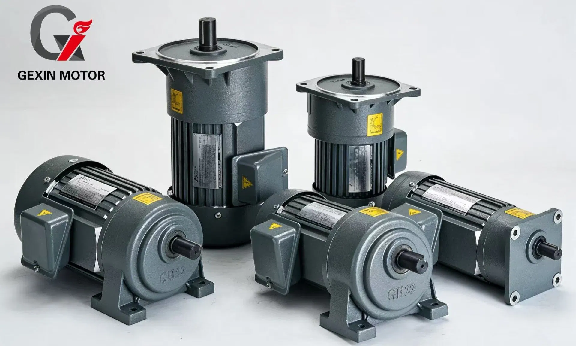 Small AC Gear Motor