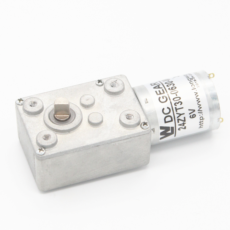 Micro DC Worm Gear Motor for Water IC Card