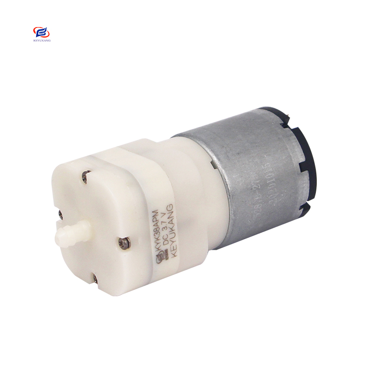 Manufacturer Direct Selling Small Electric 5L/min 12v DC Brushed Motor Micro Mini Diaphragm Motor