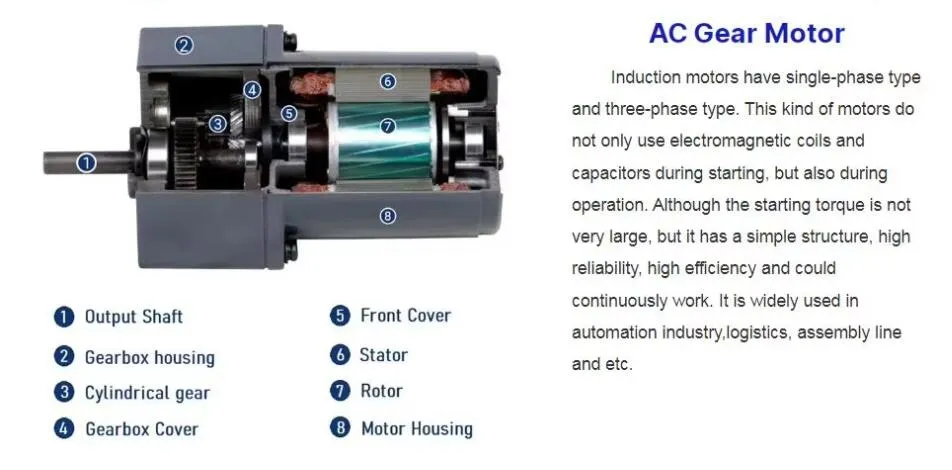 Electric Mini AC Reversible Induction Gear Motor