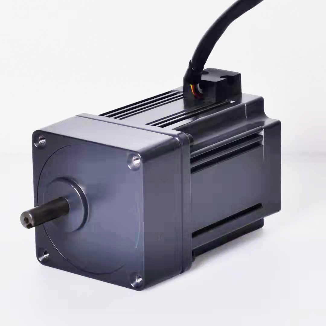 200W Low Voltage 24v/36v/48v Brushless Dc Motor