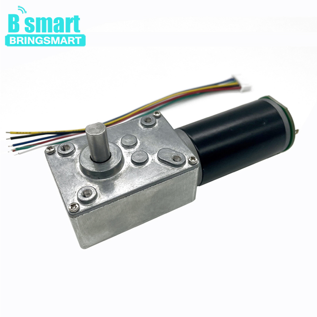 BringSmart SR5840-31ZYB High Torque Low Speed 40rpm 12 Volt 24v Single Shaft Dc Worm Encoder Gear Motor with Self Locking