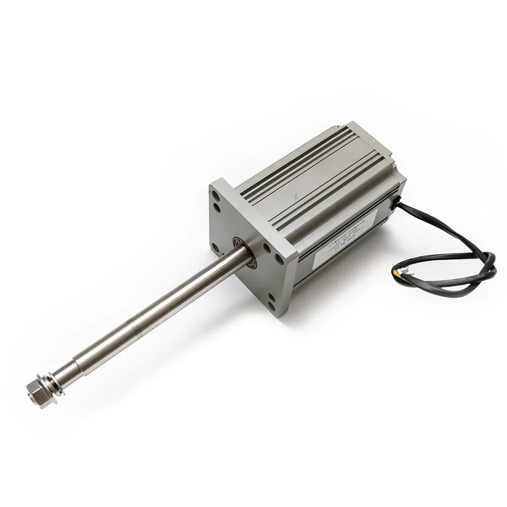 China New Electrical DC 12V 3V 24V 48VDC Accessories Brushless Engine DC Gear Fan Electric BLDC Gea Micro Motor
