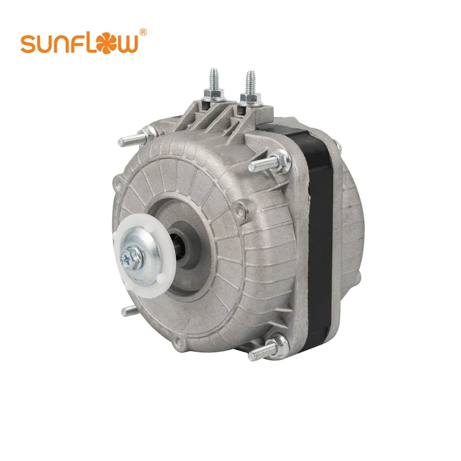 Shaded Pole Motor Detail