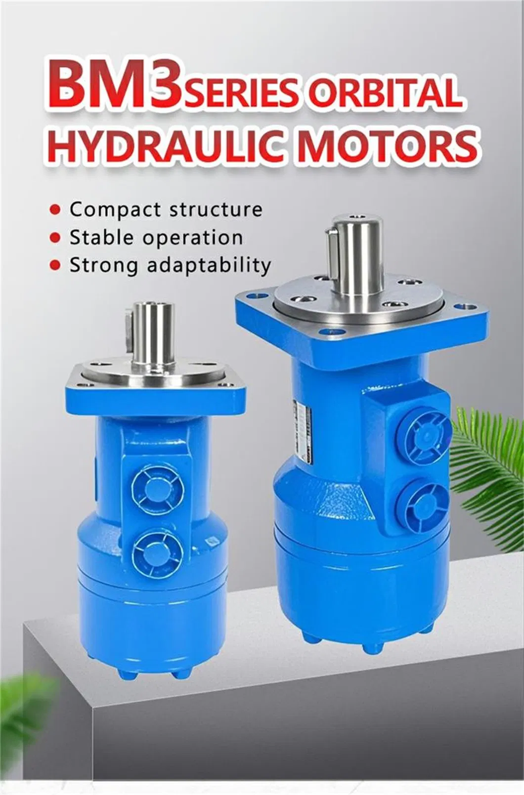 BM3 Hydraulic Motor Description