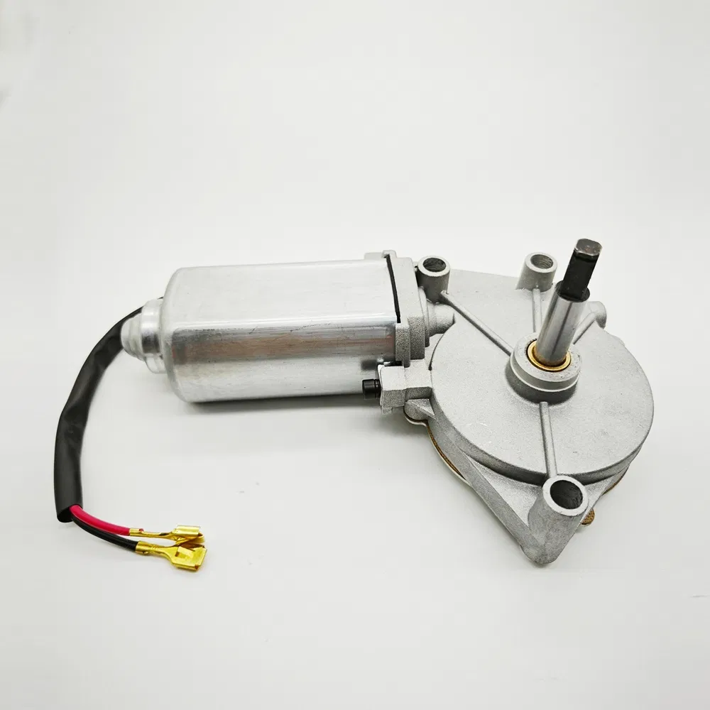 Lwzd206r-MB Door Pump O. 2 N. M Torque Micro DC Motor for Automation Equipment