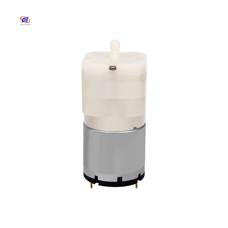 Manufacturer Direct Selling Small Electric 5L/min 12v DC Brushed Motor Micro Mini Diaphragm Motor