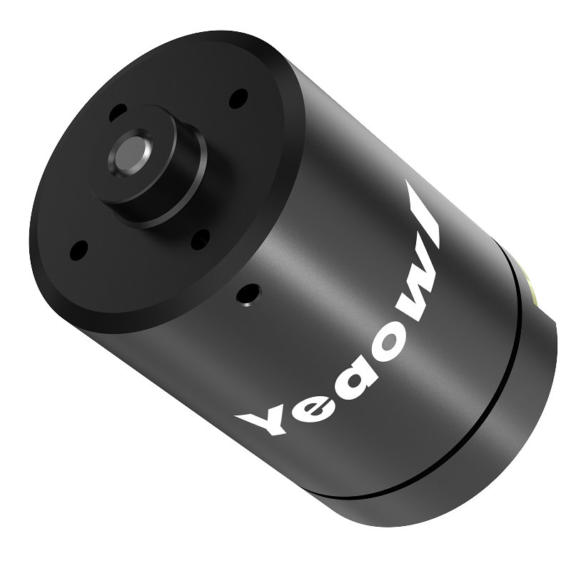 High-Performance Brushless DC Motor for Electric Toothbrushes and Nail Grinders