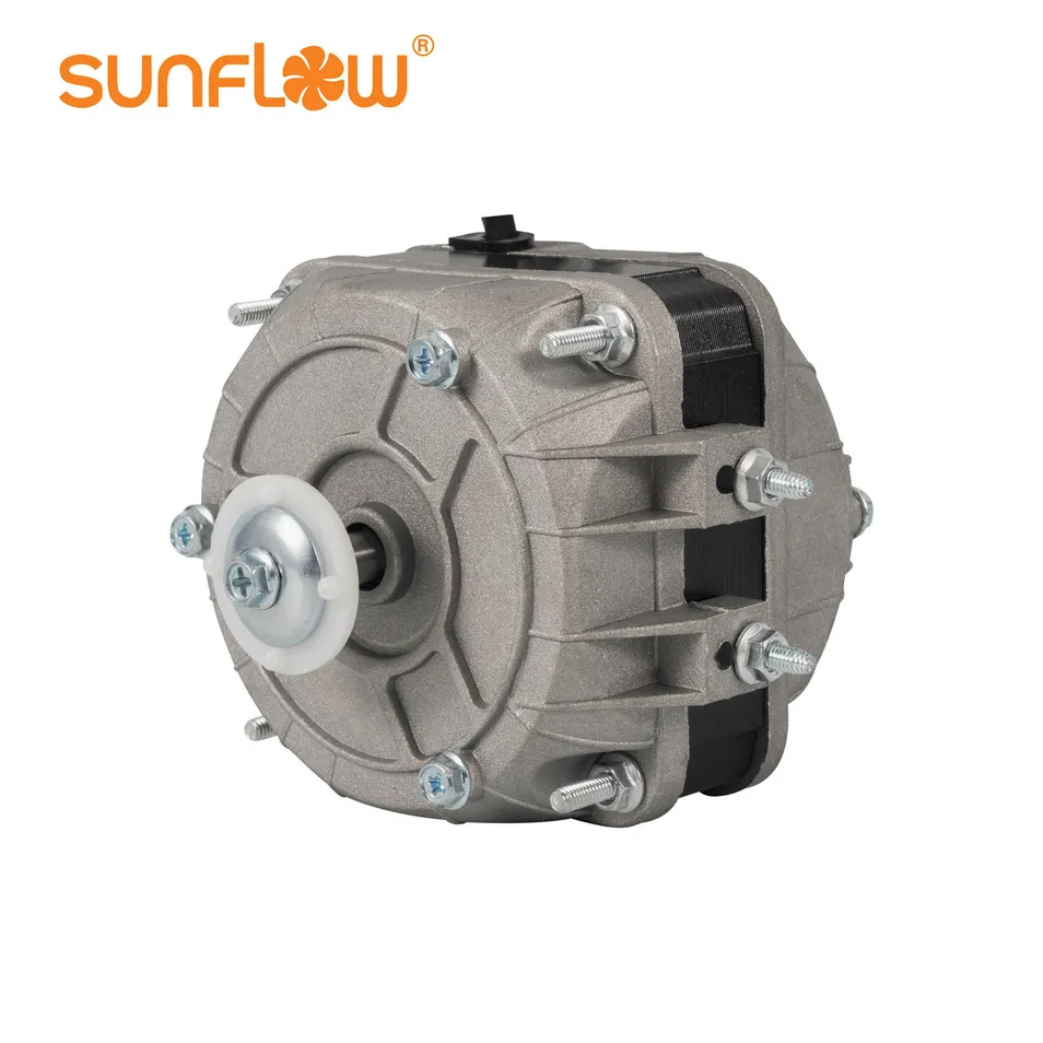Motor Detail 1