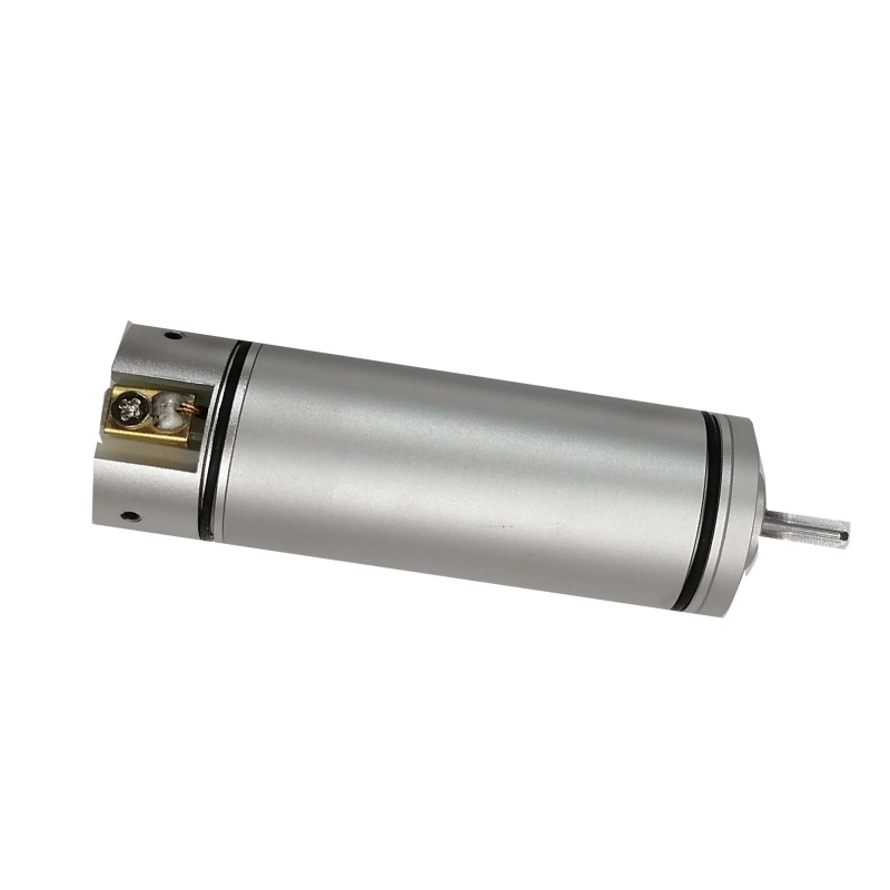 12V-36V High Speed 2060rb Coreless BLDC Motor for Robotics