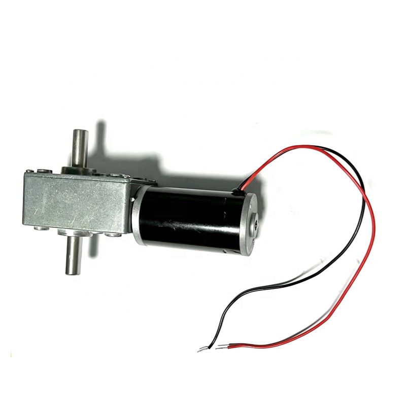 Dual Shaft Brushless Dc Motor 10 Rpm Motor 12V 24V 48V Low Voltage 5840 Worm Gear Motor with Encoder
