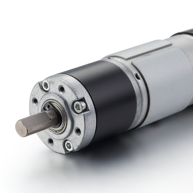 High Torque 12V and 24V DC Gear Motor for Robotics