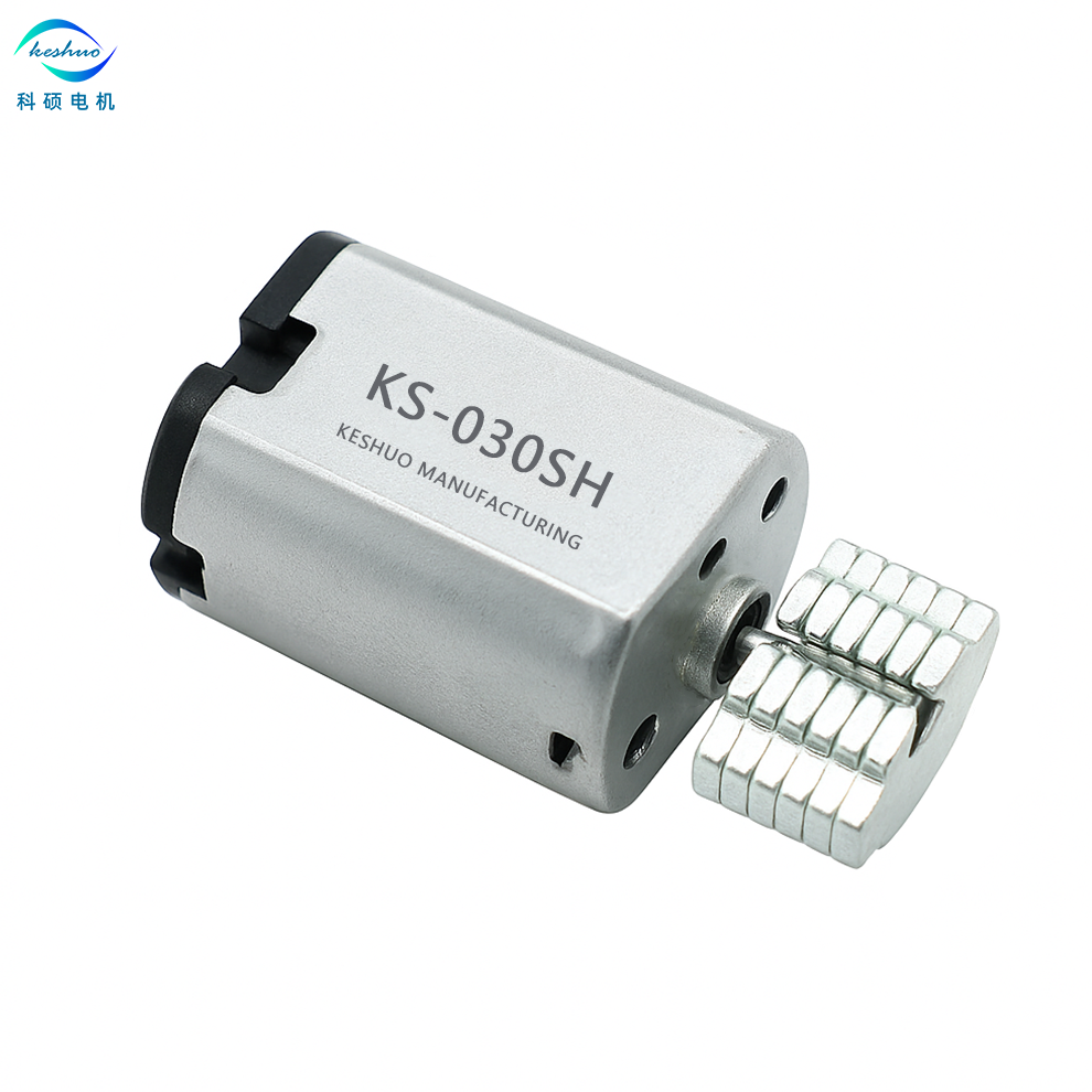 Miniature Dc Motor 16mm 030 3.7V 8000rpm Mini Vibrating Motors for Mini Massagers