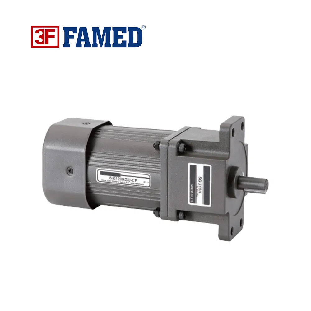 Micro Induction AC Reduction Motor for Machine Automation