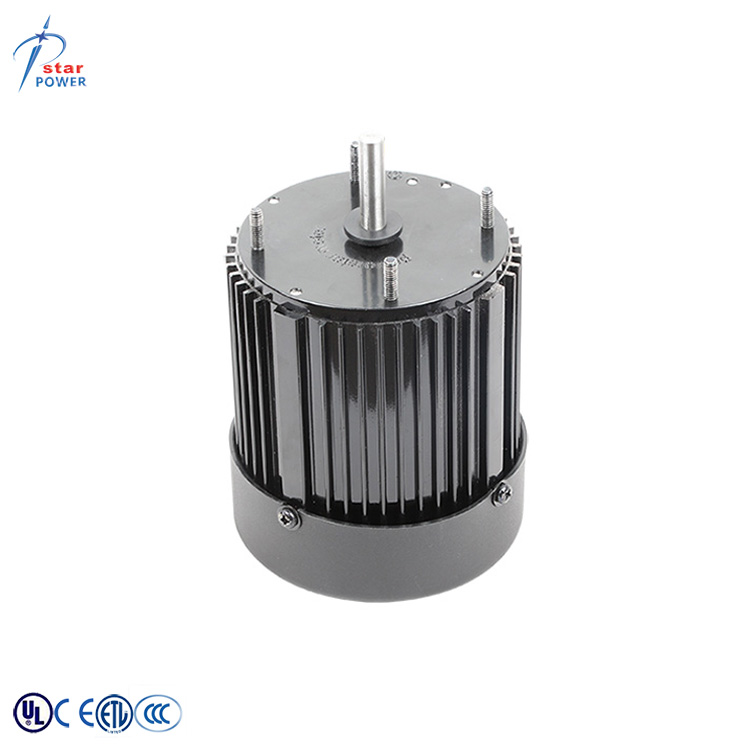 Electric Fan Motor View 4