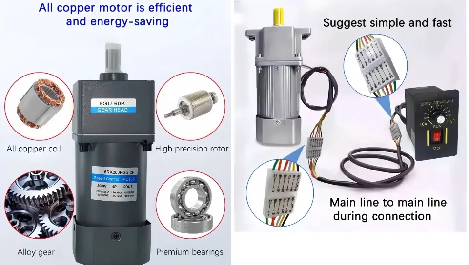 Micro Motor