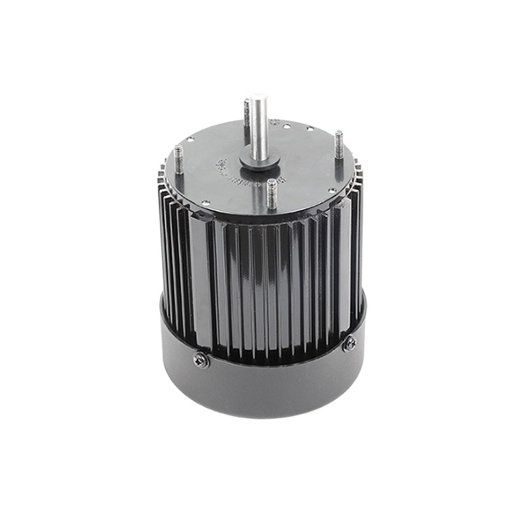 Single Phase 3.3'' 1/4HP Small Electric Fan Motor