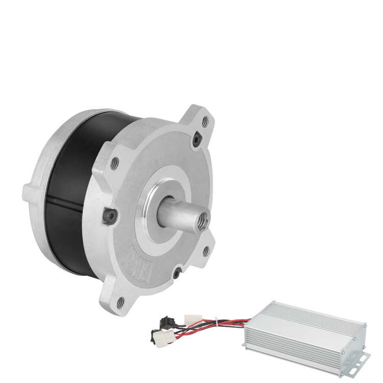 Low Voltage Brushless DC Motor with Permanent Magnet Waterproof ROHS Certified 48V for Home Appliances Electric Bicycles &amp; Boats