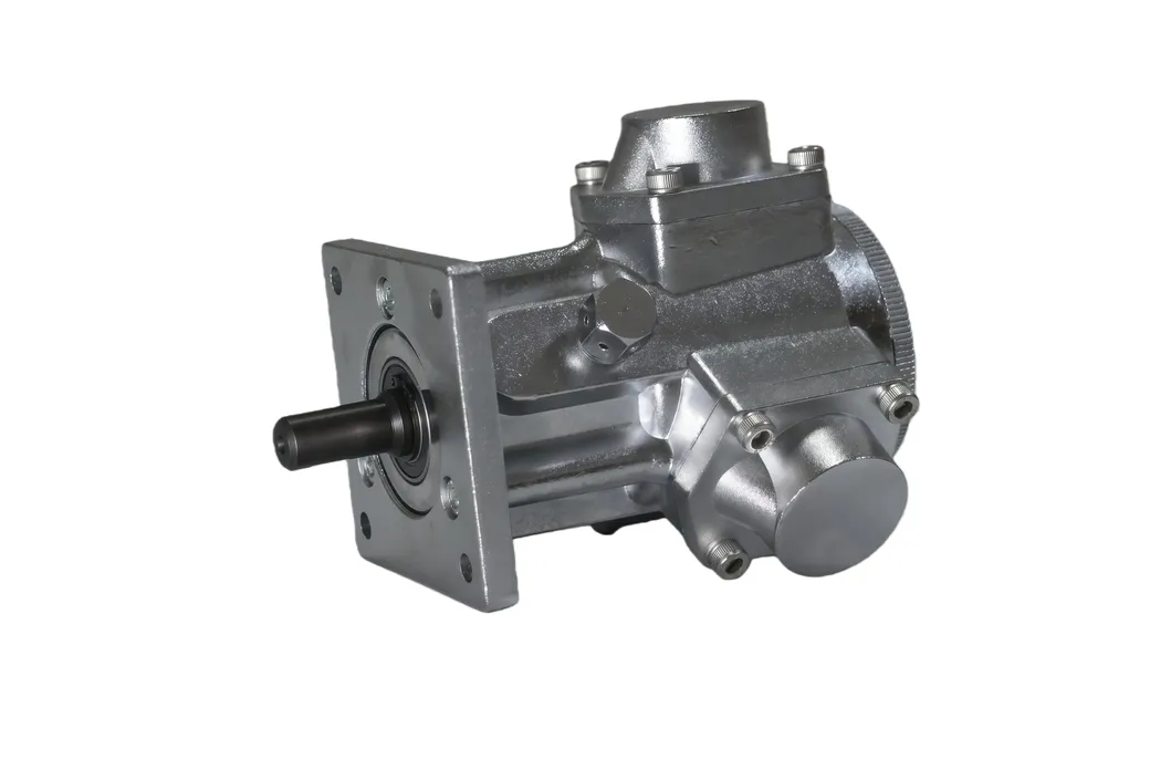Pneumatic Motor View 1