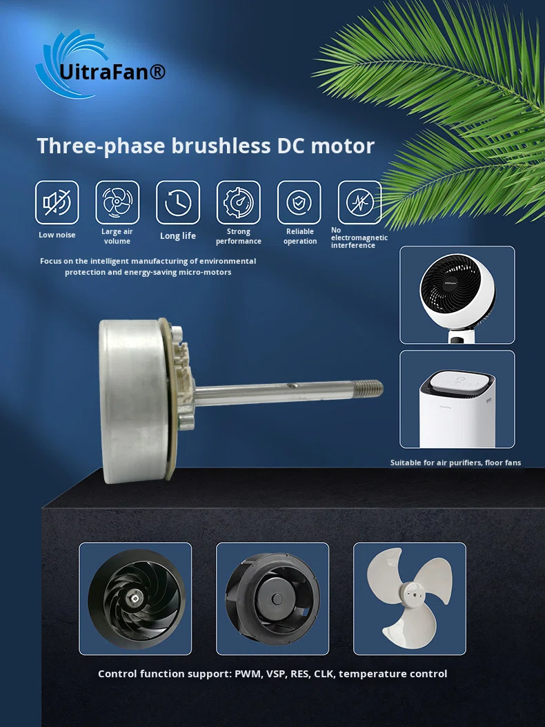 Customized Floor Fan DC Brushless Motor External Rotor Low Voltage 12V Efficiency IE1 Model LXS6112B 2500 RPM